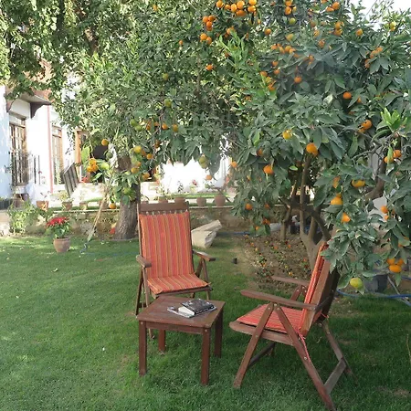 Ephesus Paradise