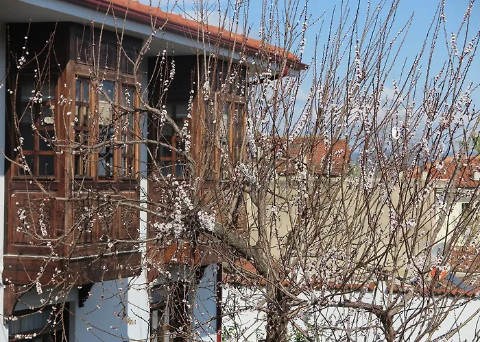 Ephesus Paradise Hotel 3*