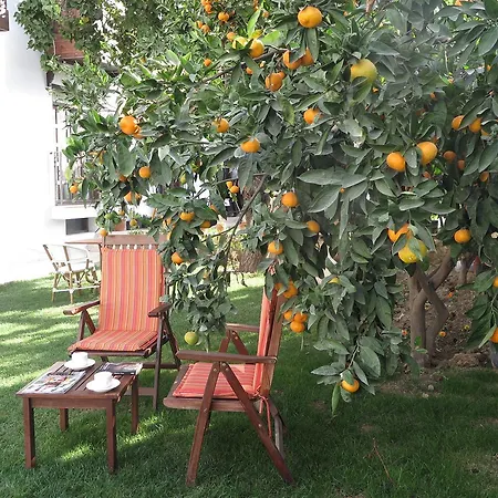 Ephesus Paradise 3* Selcuk