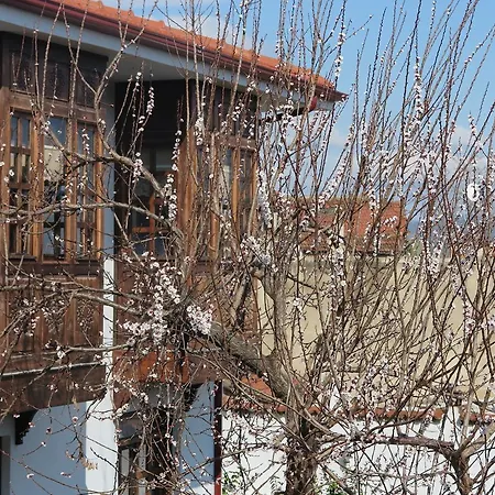 Ephesus Paradise Hotel 3*