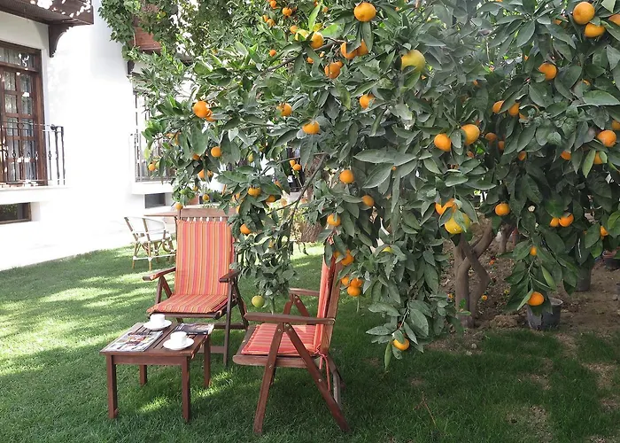 Ephesus Paradise 3* Selçuk