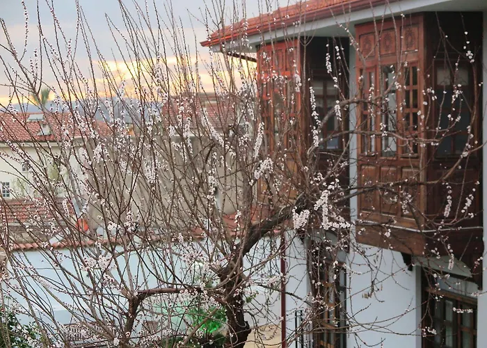 Hotel Ephesus Paradise 3*