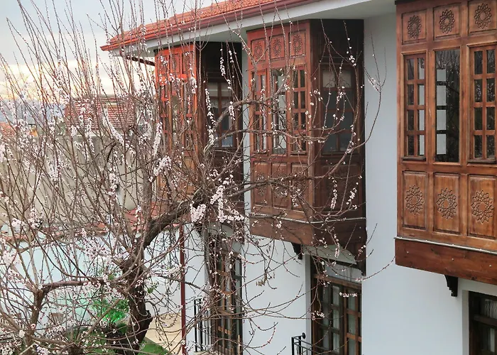 Ephesus Paradise Отель