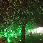 Ephesus Paradise Hotel