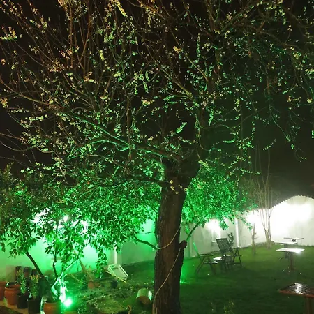 Ephesus Paradise Hotell