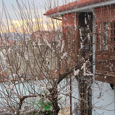 Hotell Ephesus Paradise 3*